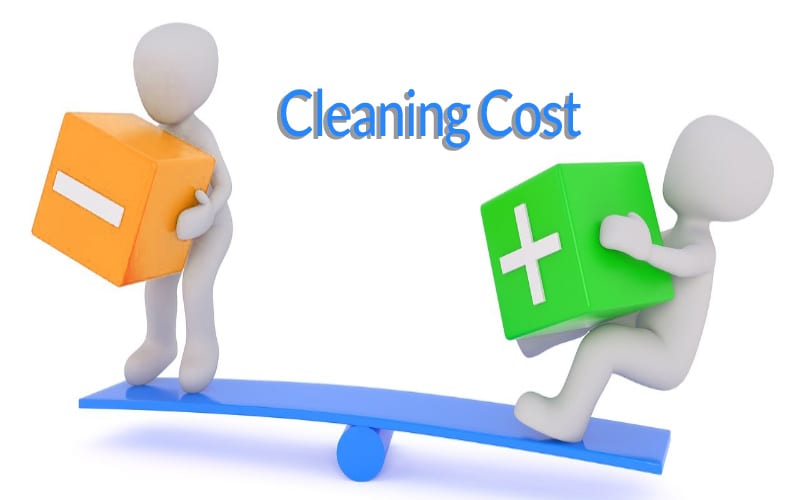 Professional Home Cleaner Cleaning Cost